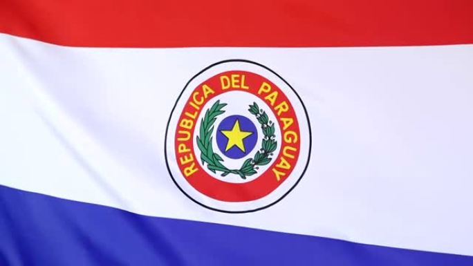 巴拉圭纺织旗帜的特写