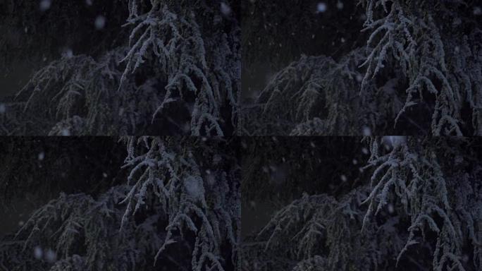 寂静的冬夜，雪慢慢落下