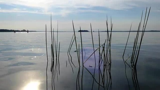 平静的湖景草和游艇