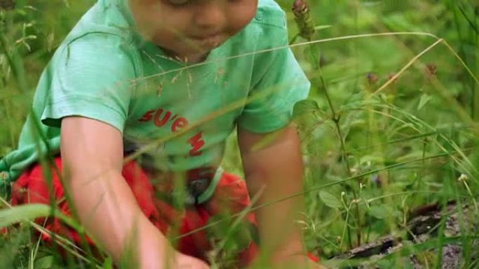 有趣的小男孩在树林里吃草莓