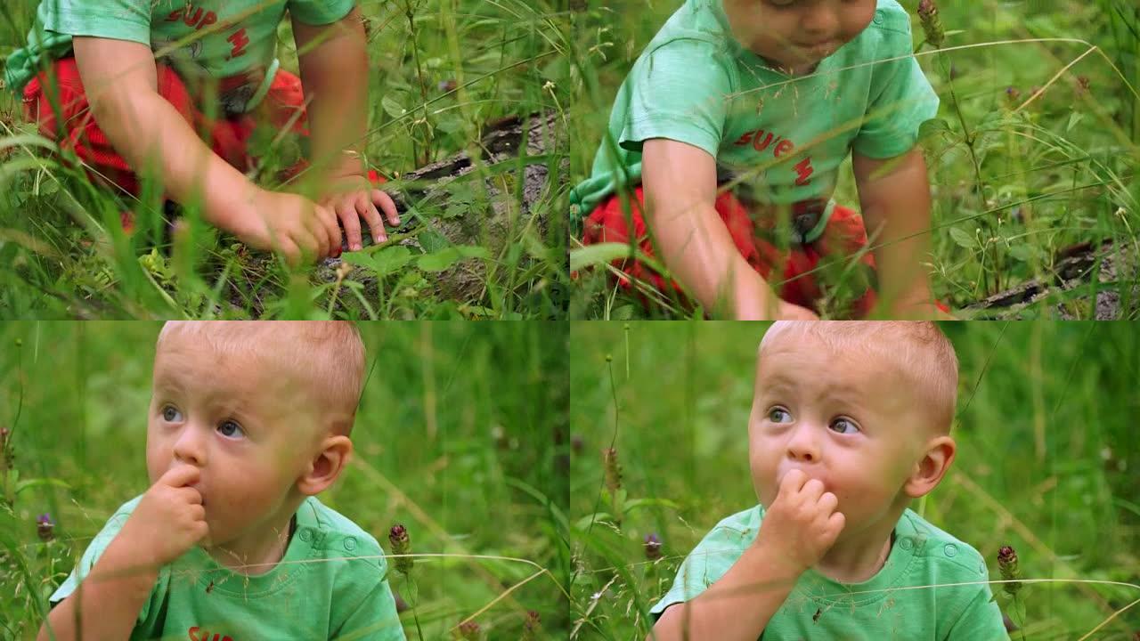 有趣的小男孩在树林里吃草莓