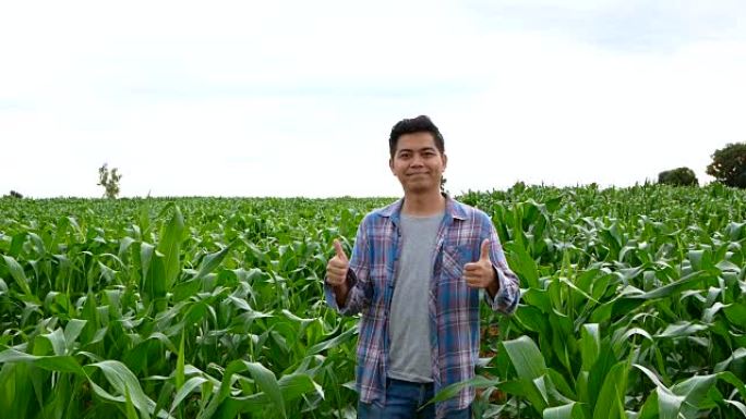 亚洲农民交叉手臂和拇指在玉米田