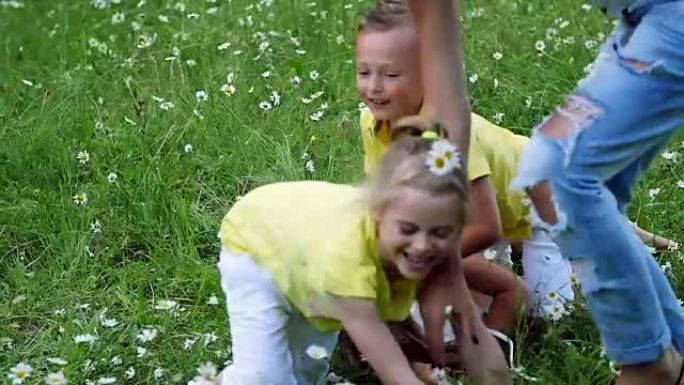 孩子们打球，躺在草地上，在雏菊之间，互相带走球。他们玩得很开心。夏天，在户外，在森林里。带孩子度假