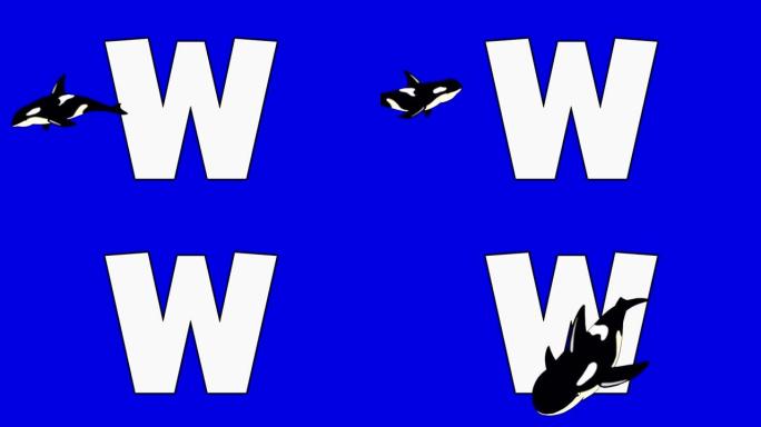 字母W和鲸鱼 (前景)