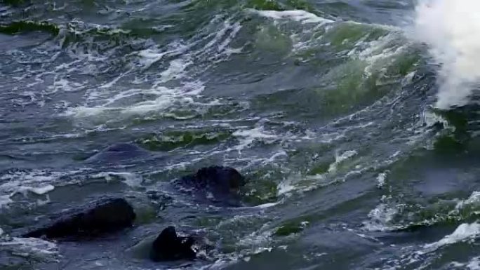 慢动作: 强烈的波浪在石头上滚动。海浪猛烈撞击岩石。喷雾向不同的方向飞行。冷风在吹。海上多云的秋日