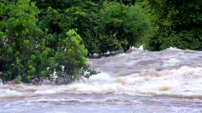 热带河流泛滥非洲丛林特写赤道几内亚