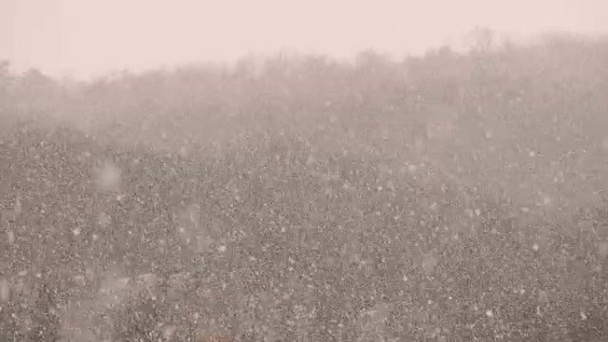 斯洛文尼亚山区自然大雪的特写镜头