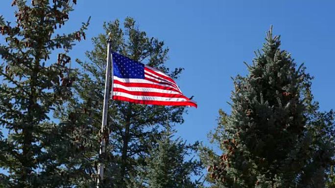 山顶上高高飘扬的美国国旗