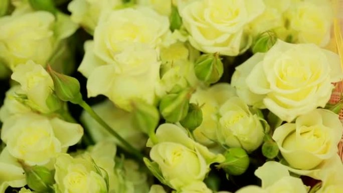 鲜艳多彩的白玫瑰花束，特写
