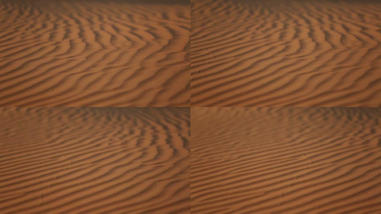 阿联酋-沙漠沙丘