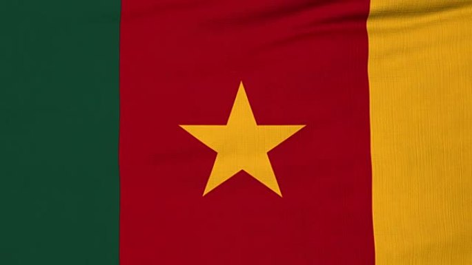 飘扬的喀麦隆国旗