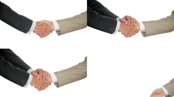 一场白底商务握手，两人握手