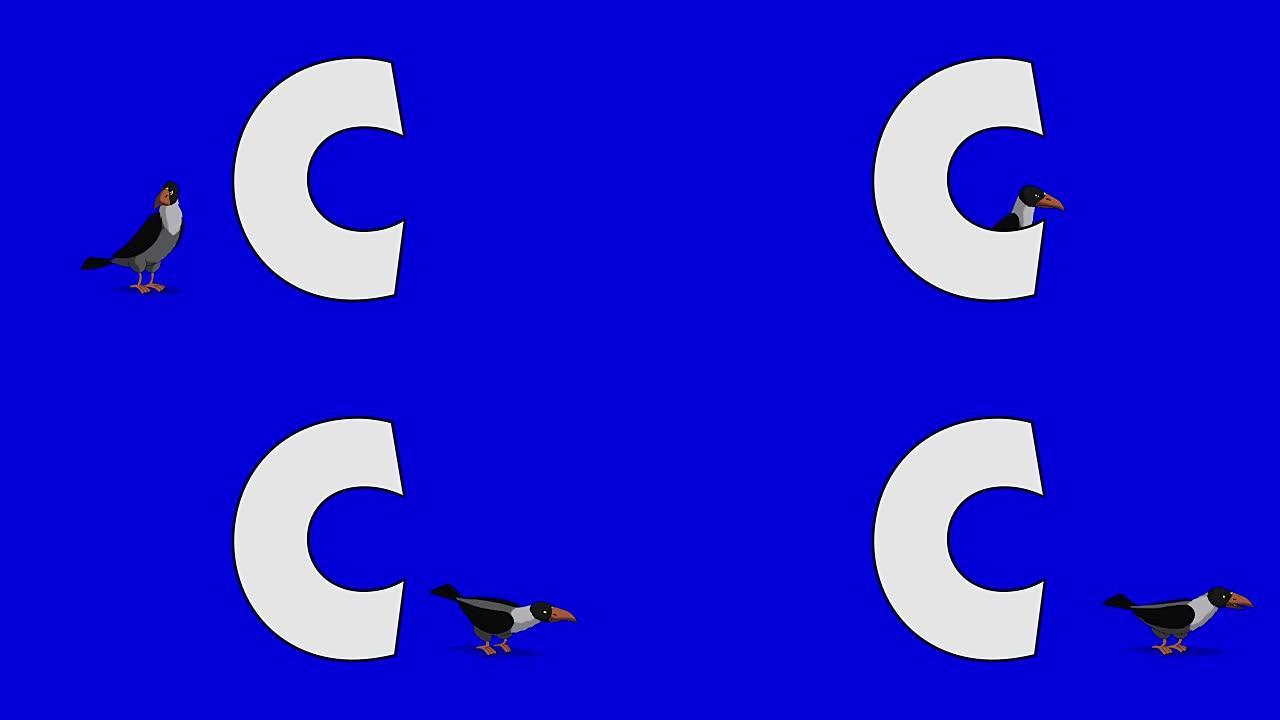 字母C和乌鸦 (背景)