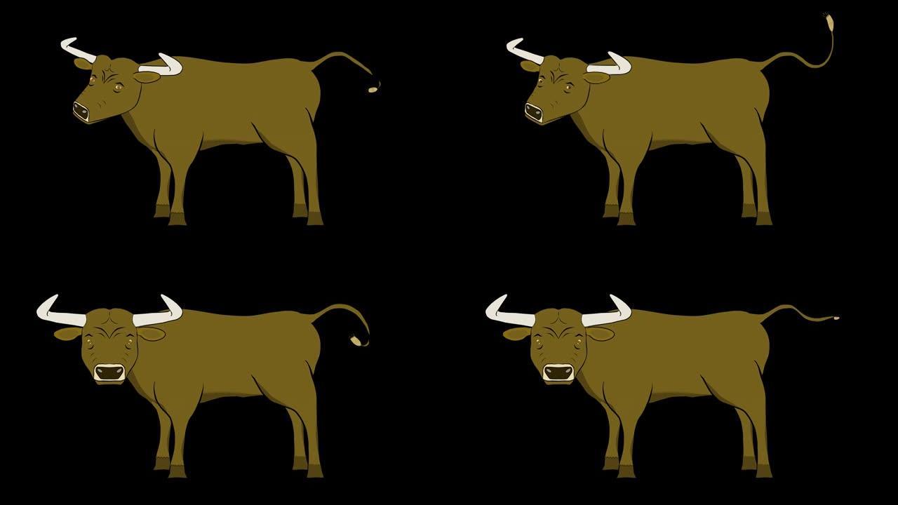 公牛-动画-透明