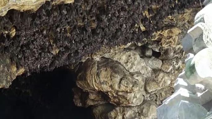 Pura Goa Lawah (蝙蝠洞庙) 洞穴拱门上的鼠蝠。这座寺庙是围绕一个石灰岩洞穴建造的，该