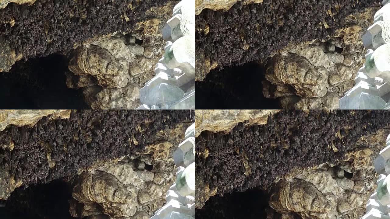 Pura Goa Lawah (蝙蝠洞庙) 洞穴拱门上的鼠蝠。这座寺庙是围绕一个石灰岩洞穴建造的，该