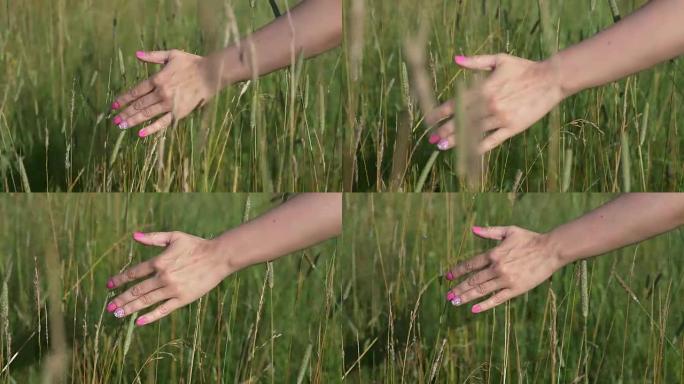 女孩的手在草地上移动
