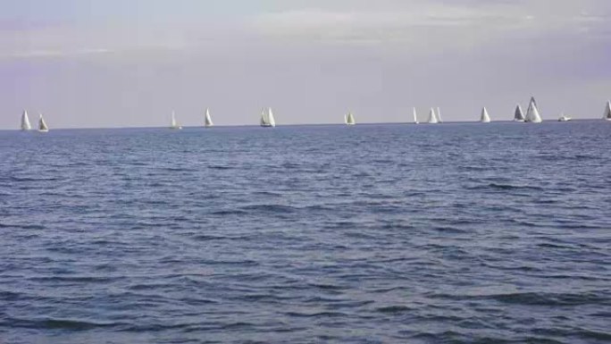 帆船帆船赛比赛安大略湖帆船比赛