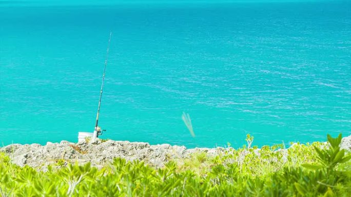 在阳光明媚的日子里，一个人把鱼竿伸进热带水域