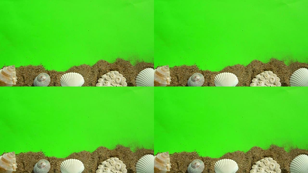绿色屏幕上的贝壳和沙子。