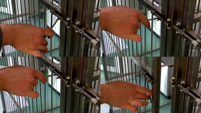 男孩在庇护所里与悲伤的小狗玩耍，给人希望被救出并被收养到新家。