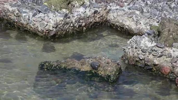 海泊石