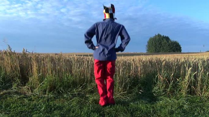 有趣的农民带着小丑帽晨练在野外