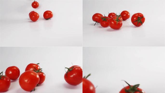 新鲜的湿番茄掉落在白色背景上