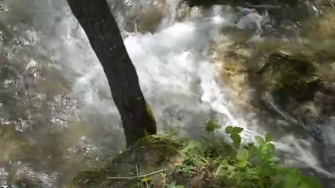 Zlatibor山上的Gostilje河，有小瀑布，瀑布，倾覆和急流