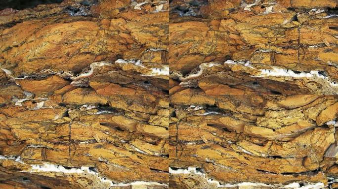 克里米亚塔尔汉库特海岸的石灰岩地层