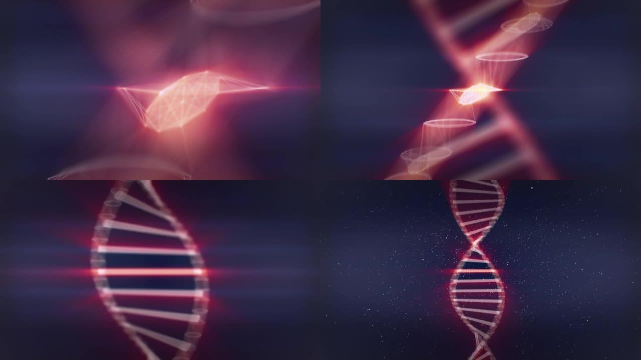 用显微相机观察DNA内部并检查人类的基因构成