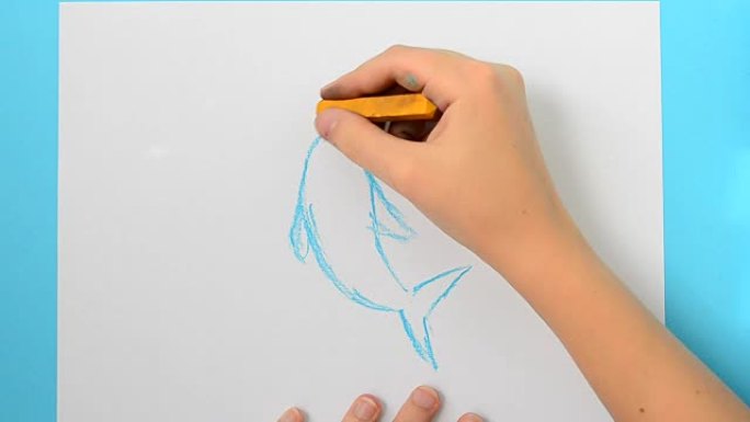 我们画一只海豚。Monodon monoceros。孩子画了这幅画。