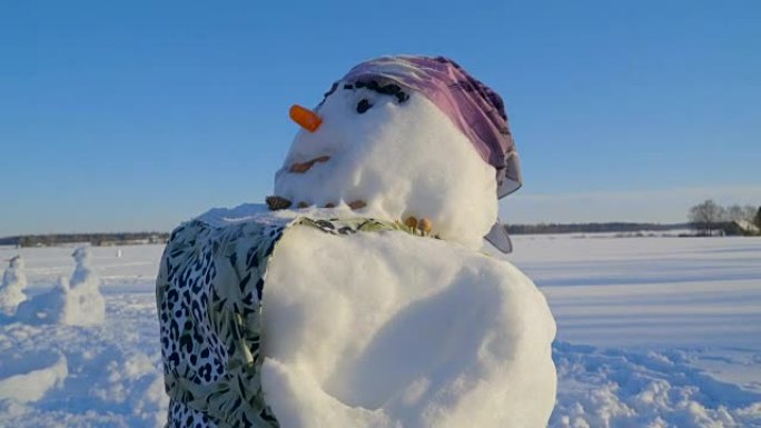 穿着围裙的大咪咪雪人