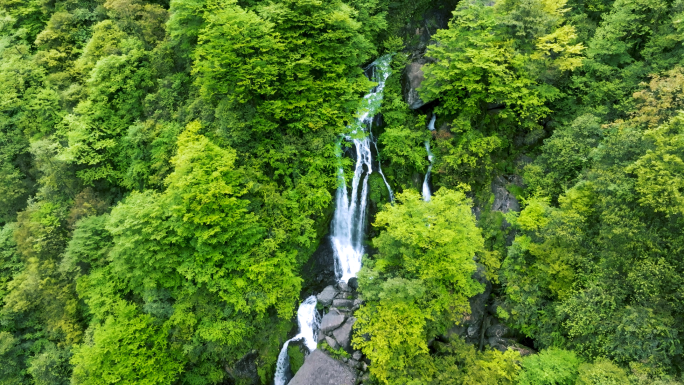 唯美神奇原始森林溪流瀑布翠绿山水航拍素材