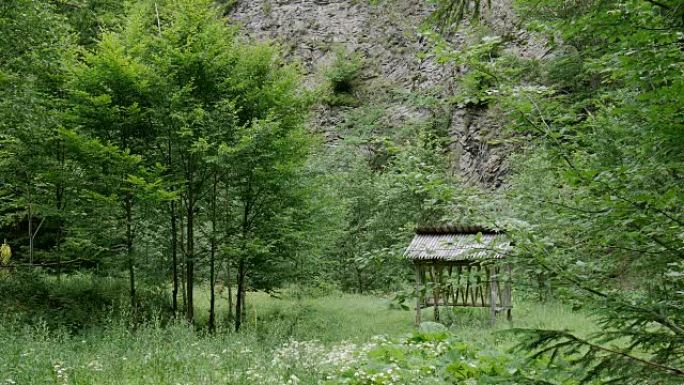 森林中央废弃的山间小屋。