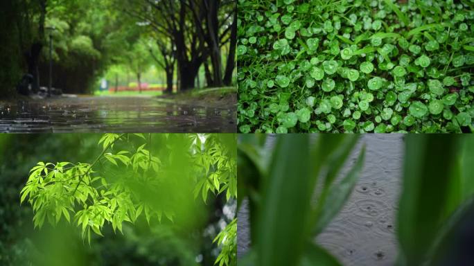 雨天 空镜素材