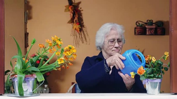 老年女士在窗台上浇花
