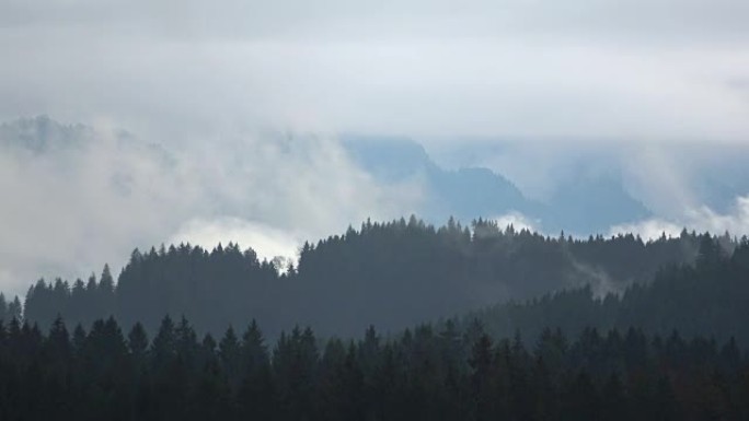 森林上空的云，雾，云景，时间流逝，阿尔卑斯山，巴伐利亚，4K