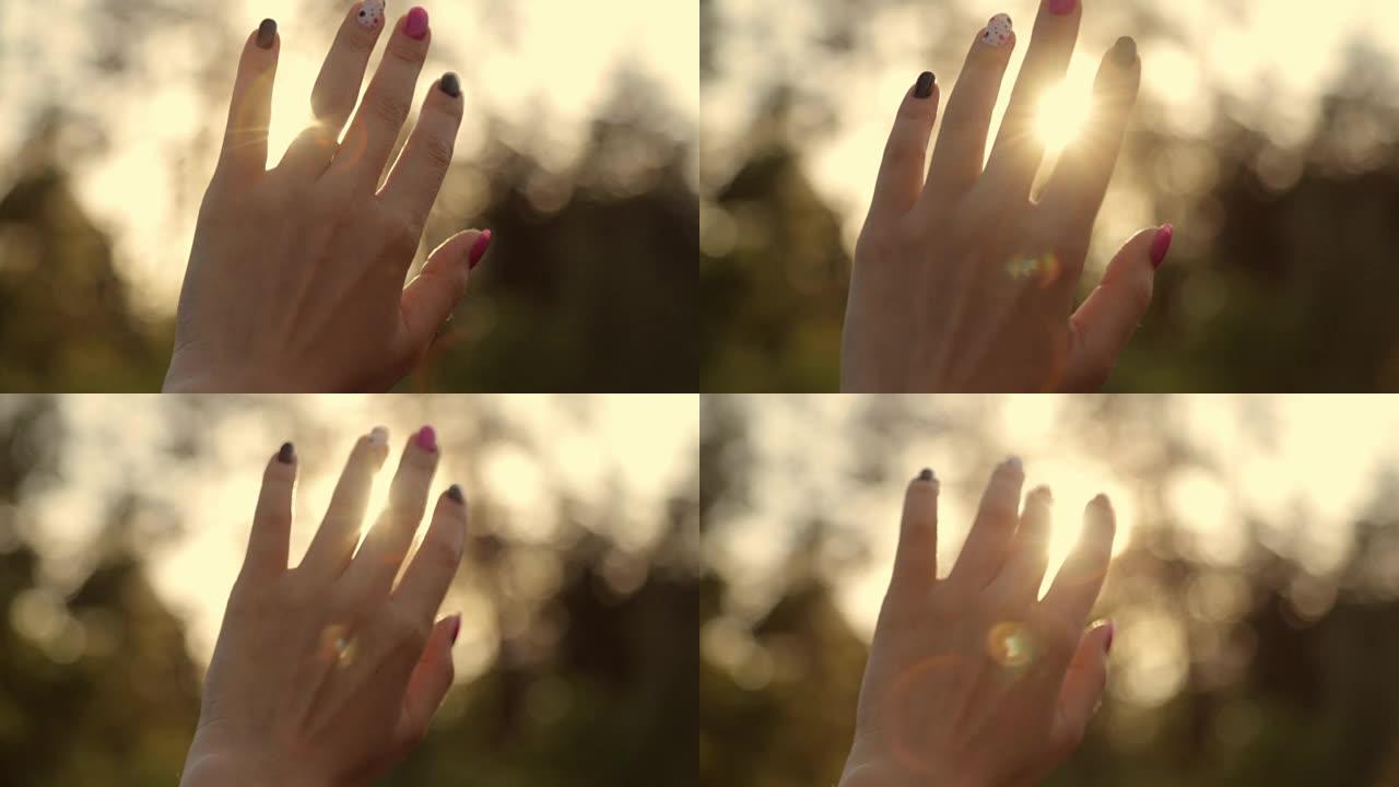 阳光透过女人的手