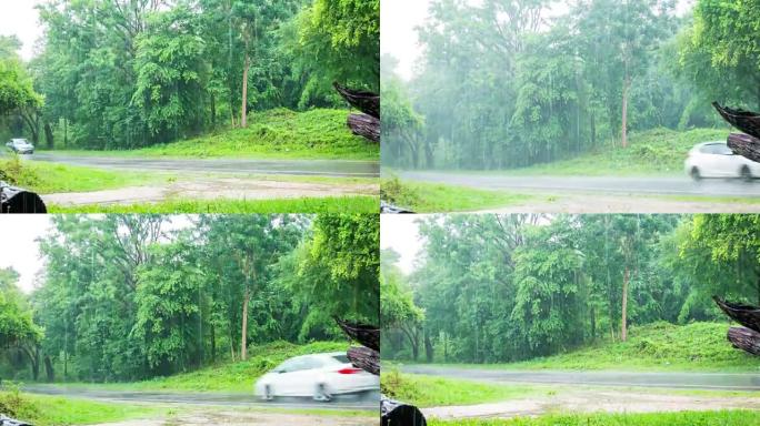 通往森林的道路上大雨时交通的时间流逝