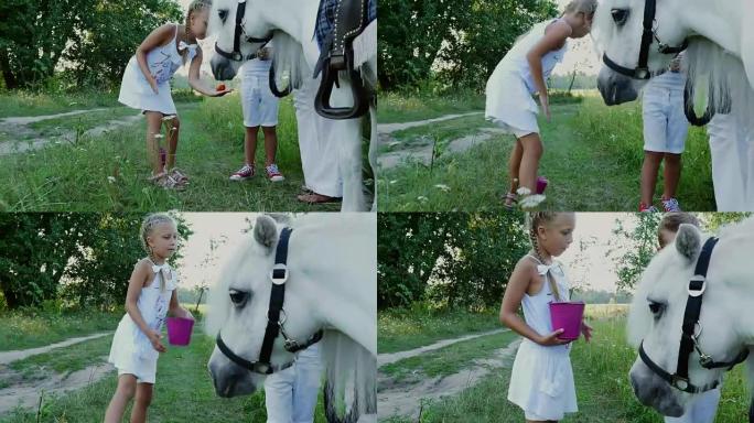 孩子们，一个男孩和一个七年的女孩，喂一只白色的小马，给吃胡萝卜。快乐快乐的家庭假期。户外，夏天，森林
