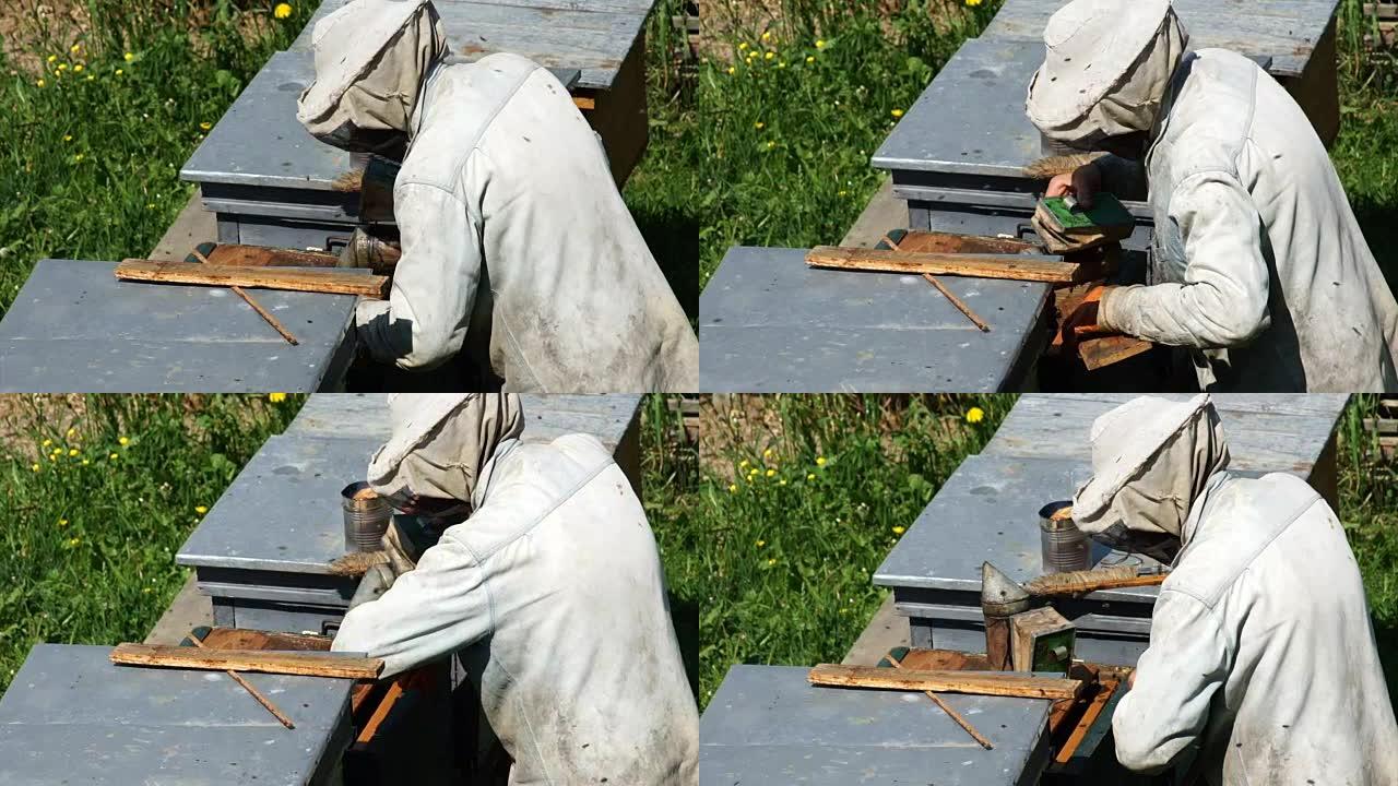 养蜂人在工作