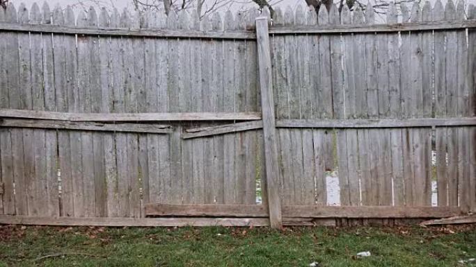 破旧的篱笆直进直出