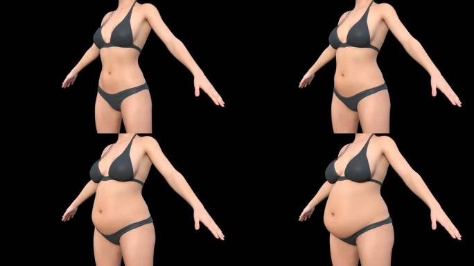 侧面怀孕3D动画肚子变大小肚肥胖怀胎胖瘦