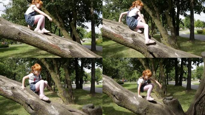 穿着牛仔连衣裙的小姜女孩正在爬下一棵树