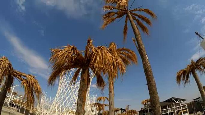 克里米亚Befooz的棕榈树和金属建筑