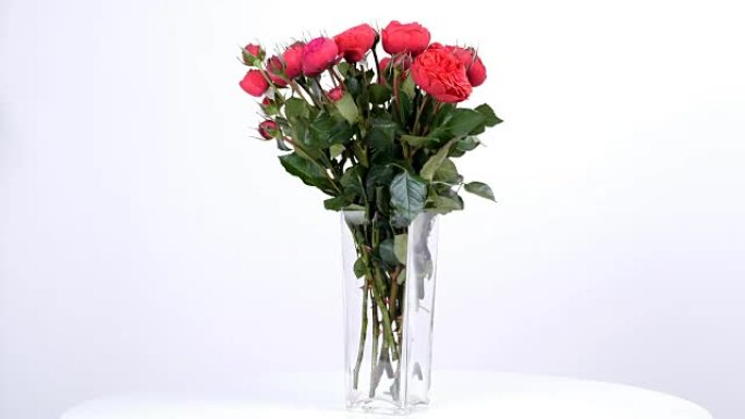 花朵，花束，白色背景上的旋转，花卉成分由玫瑰圆锥形波尔多组成