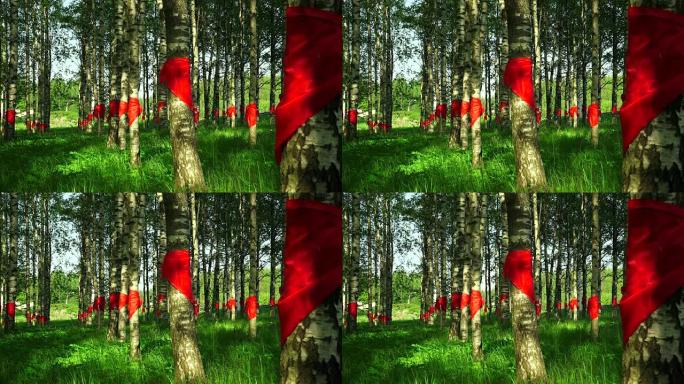 红色先锋领带绑在桦木上。4K。