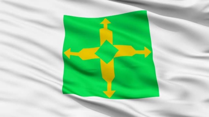 巴西利亚市近距离挥舞旗帜