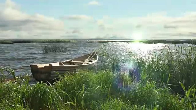 日落时，芦苇湖上的旧木船的延时。